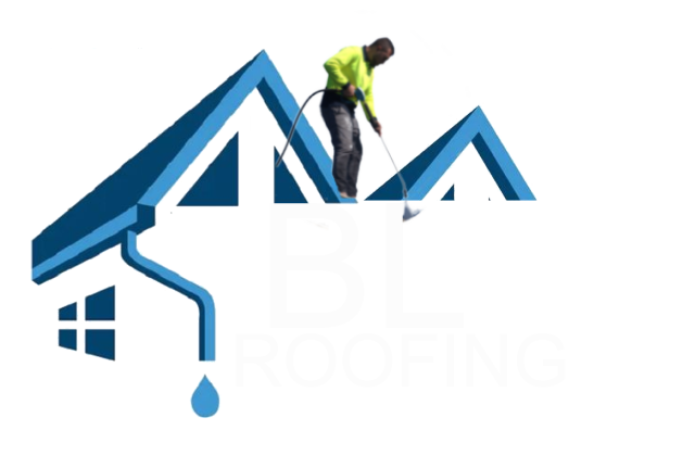 Roof Repair & Maintenance