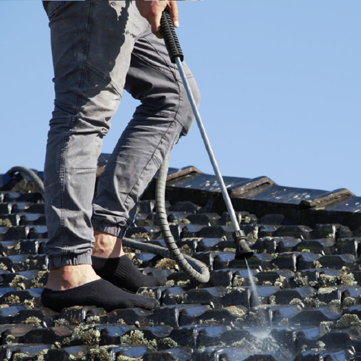 Roof Cleaning